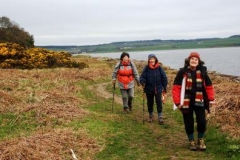 frodo-pippin-and-peregrine-set-off-for-adventure