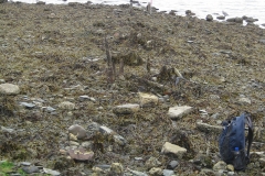 walkway-remains-1