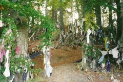 Clootie Well, Munlochy, Black Isle