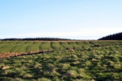 threeplands-rig