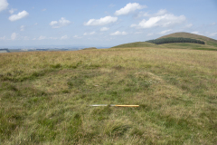 NT85502 27093 A ring ditch feature on the high plateau over the border in England, Halterburn Valley project 2021