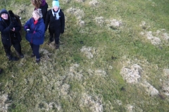 our-first-aerial-photo-more-work-needed