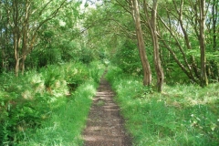 mavis-valley-today