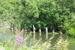 swing-bridge-remains