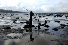 mudden-archaeology-s-hothersall-members-prize