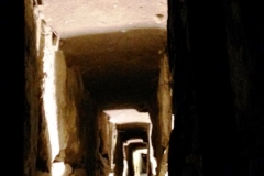 dorothy-gormlie-members-vote-knowth-looking-into-the-past