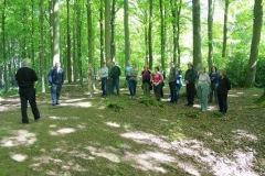 pollok-intro-to-field-survey-2