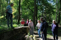 pollok-intro-to-field-survey-4