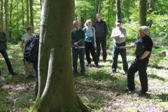 pollok-intro-to-field-survey-5