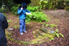 pollok-6
