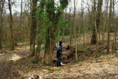 3-newmill-line-of-test-pits-copy