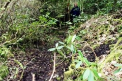 rouken-mill-from-downslope-looking-up-to-susan-at-outflow-3
