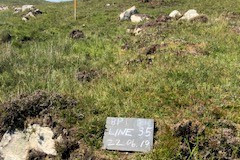 Hynish-Boundaries-recording-a-line