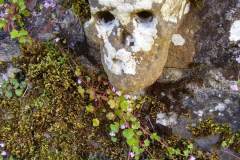 Boo!, Dunnotar Kirkyard