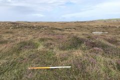 sheiling-hut-Tiree-scaled